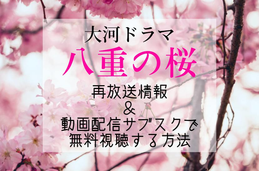 大河ドラマ 八重の桜 総集編 [DVD] 9jupf8b