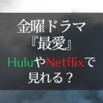 最愛　hulu netflix amazonプライム