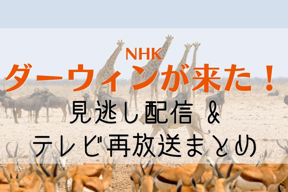 ダーウィンが来た！2023年の再放送予定(地上波・BSプレミアム)＆見逃し