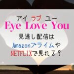 ドラマ『アイラブユー(EyeLoveYou)』見逃し配信はhuluやAmazonプライムで見れる？