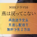 NHKドラマ『燕は戻ってこない』再放送予定＆見逃し配信を無料で見る方法