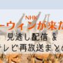 ダーウィンが来た　見逃し　再放送