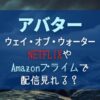 アバター2　動画配信